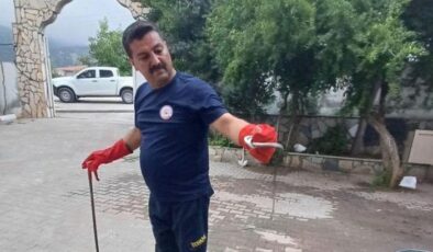 Hatay’daki kız öğrenci yurdunda yılan paniği yaşandı.